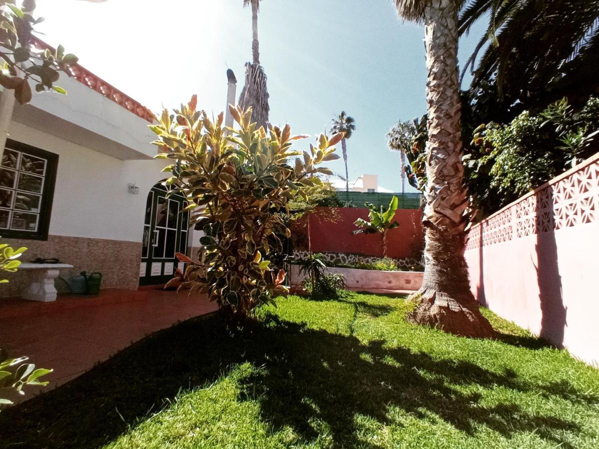 Finca Los Pajaritos Villa Icod De Los Vinos Eksteriør billede