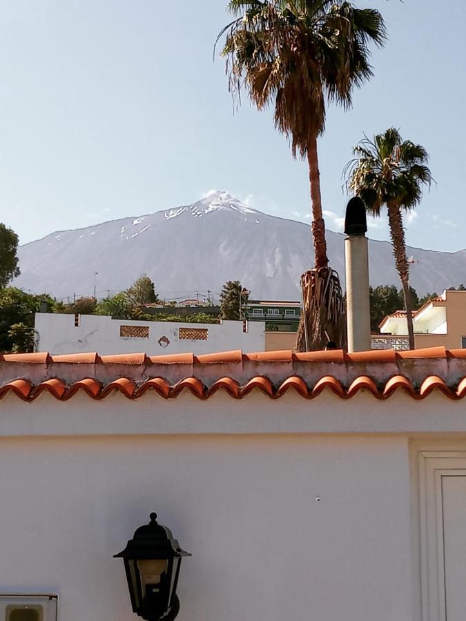 Finca Los Pajaritos Villa Icod De Los Vinos Eksteriør billede